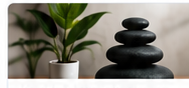 Wellness stones and plant